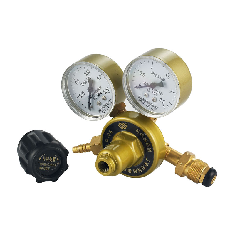 LR-06 Generalis-Propositum LPG Regulator